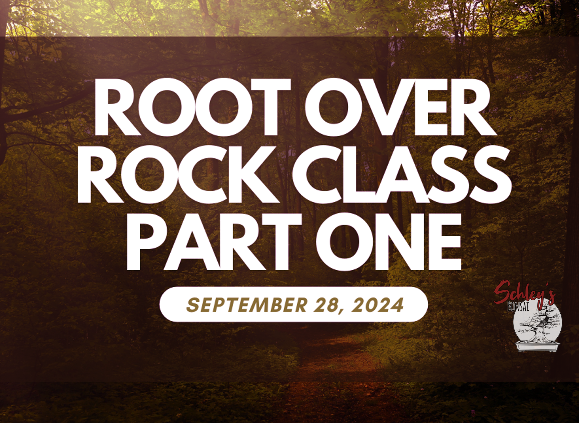Root Over Rock Class (Part One) - September 28th, 2024 @ 9AM-12PM