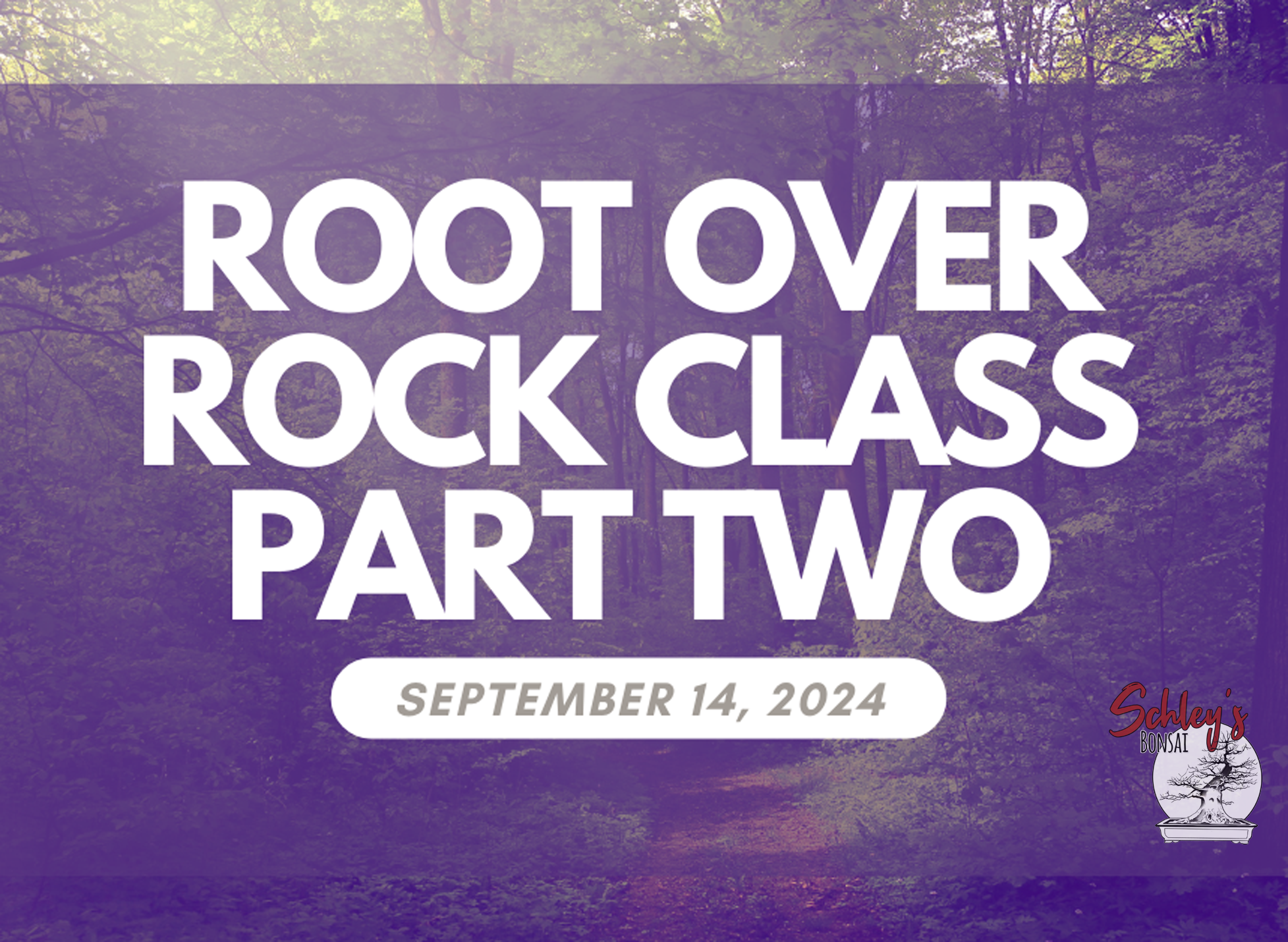 Advanced Root Over Rock Class (Part Two) - September 14th, 2024 @ 9AM - 12PM