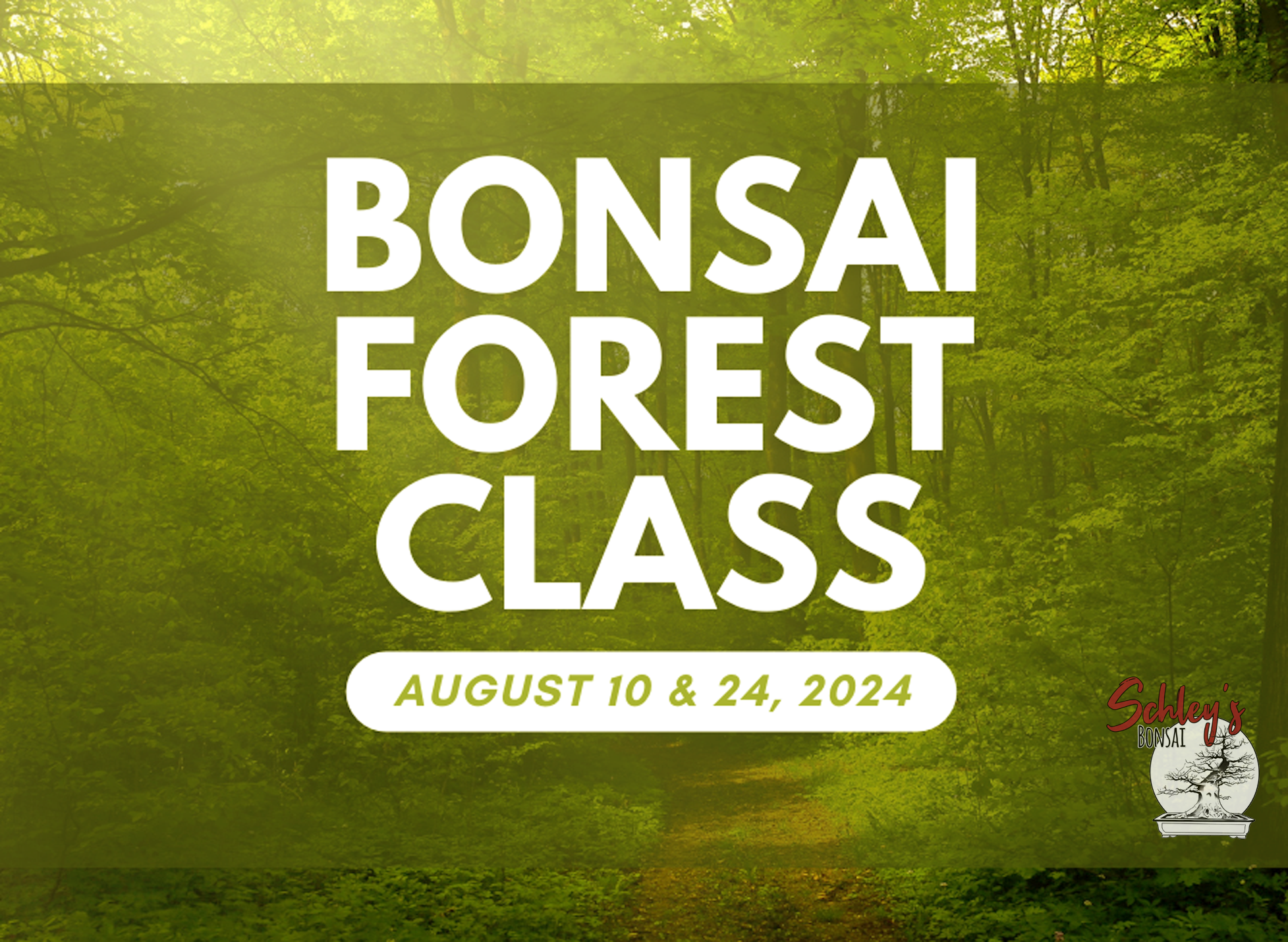 Bonsai Forest Class - Saturday, August 10th or 24th @ 9AM