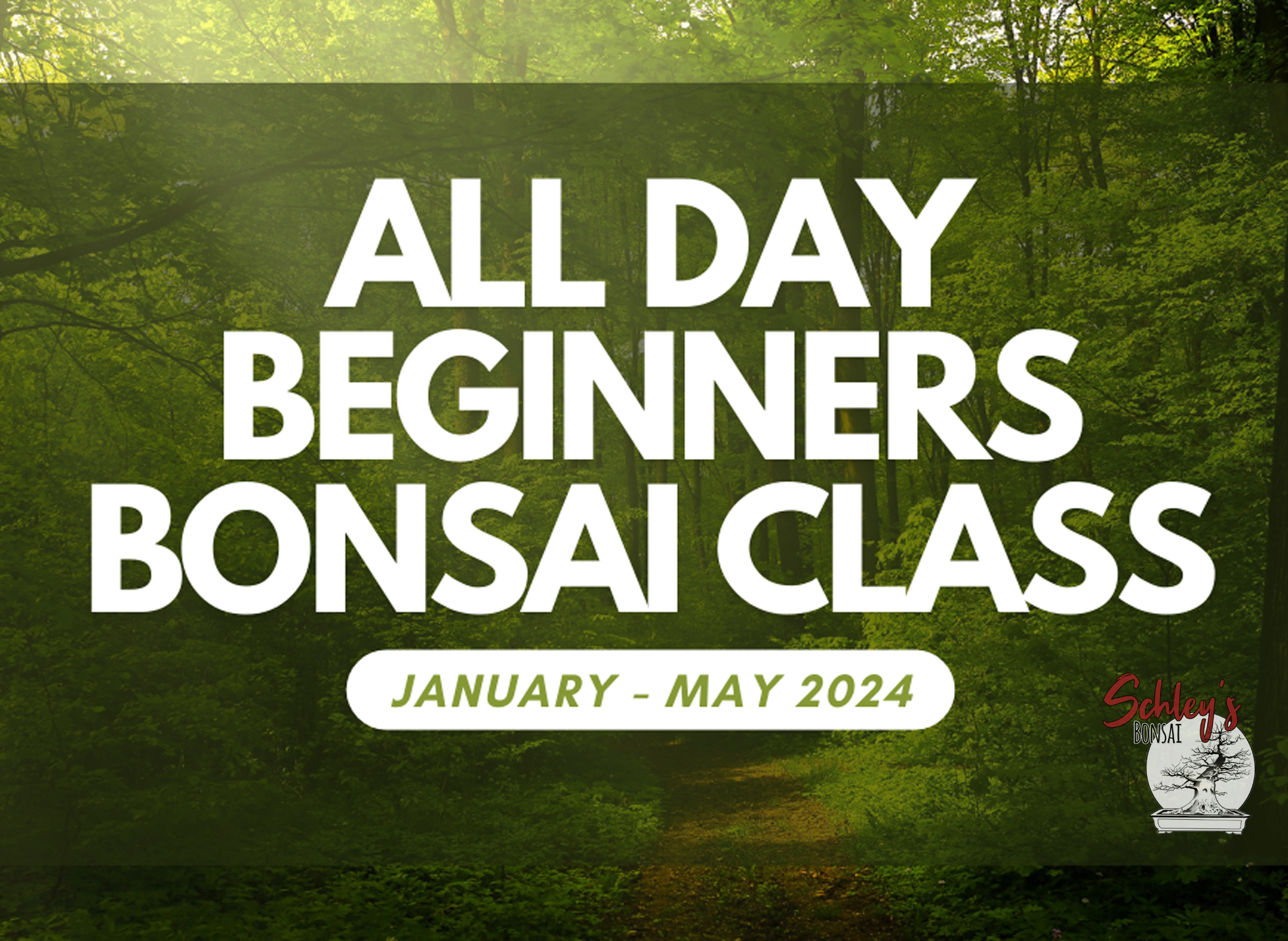 All Day Beginners Bonsai Class