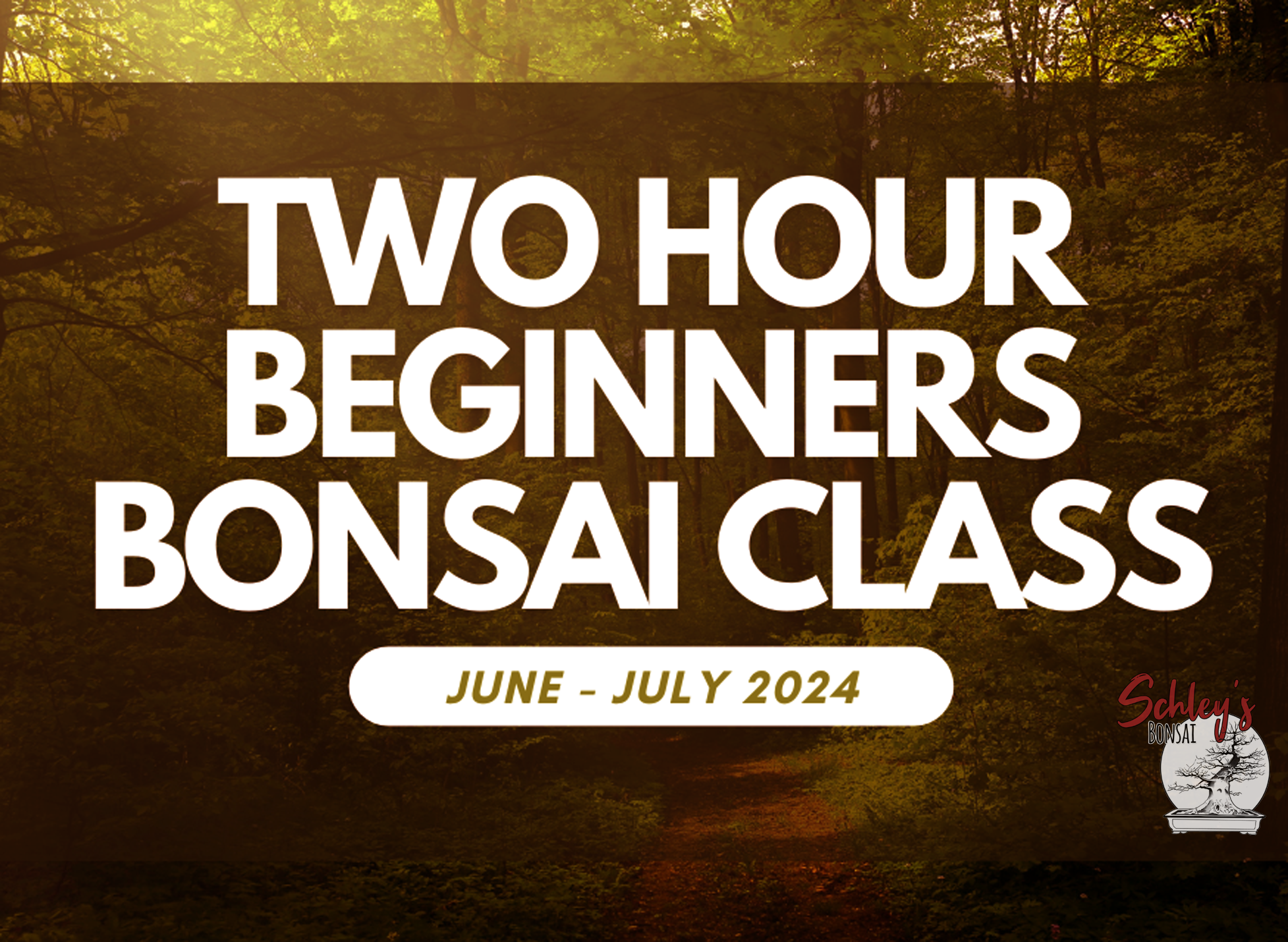 Two Hour Beginners Bonsai Class 9AM - 11AM