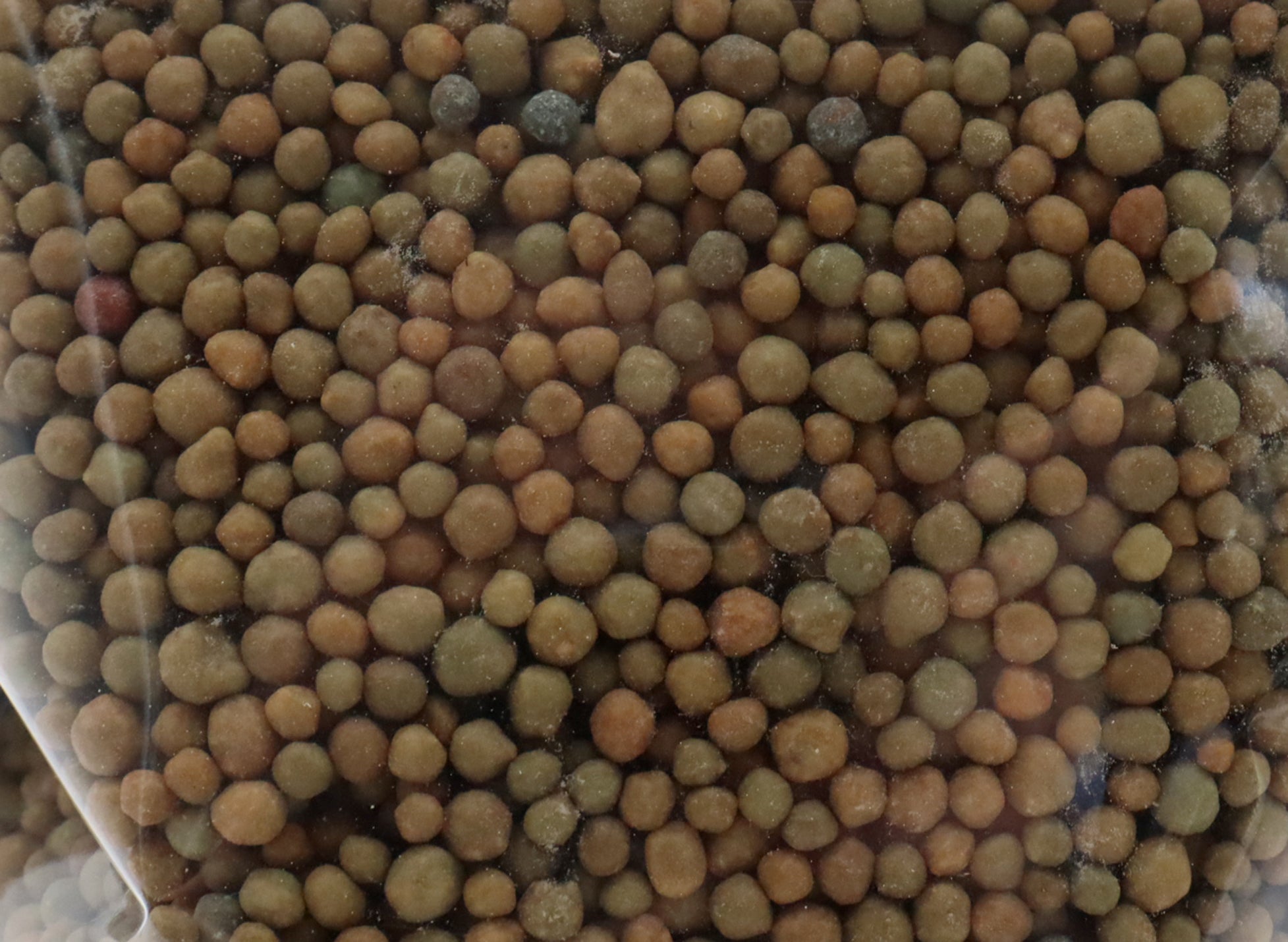 Suncote Fertilizer (15-9-12)