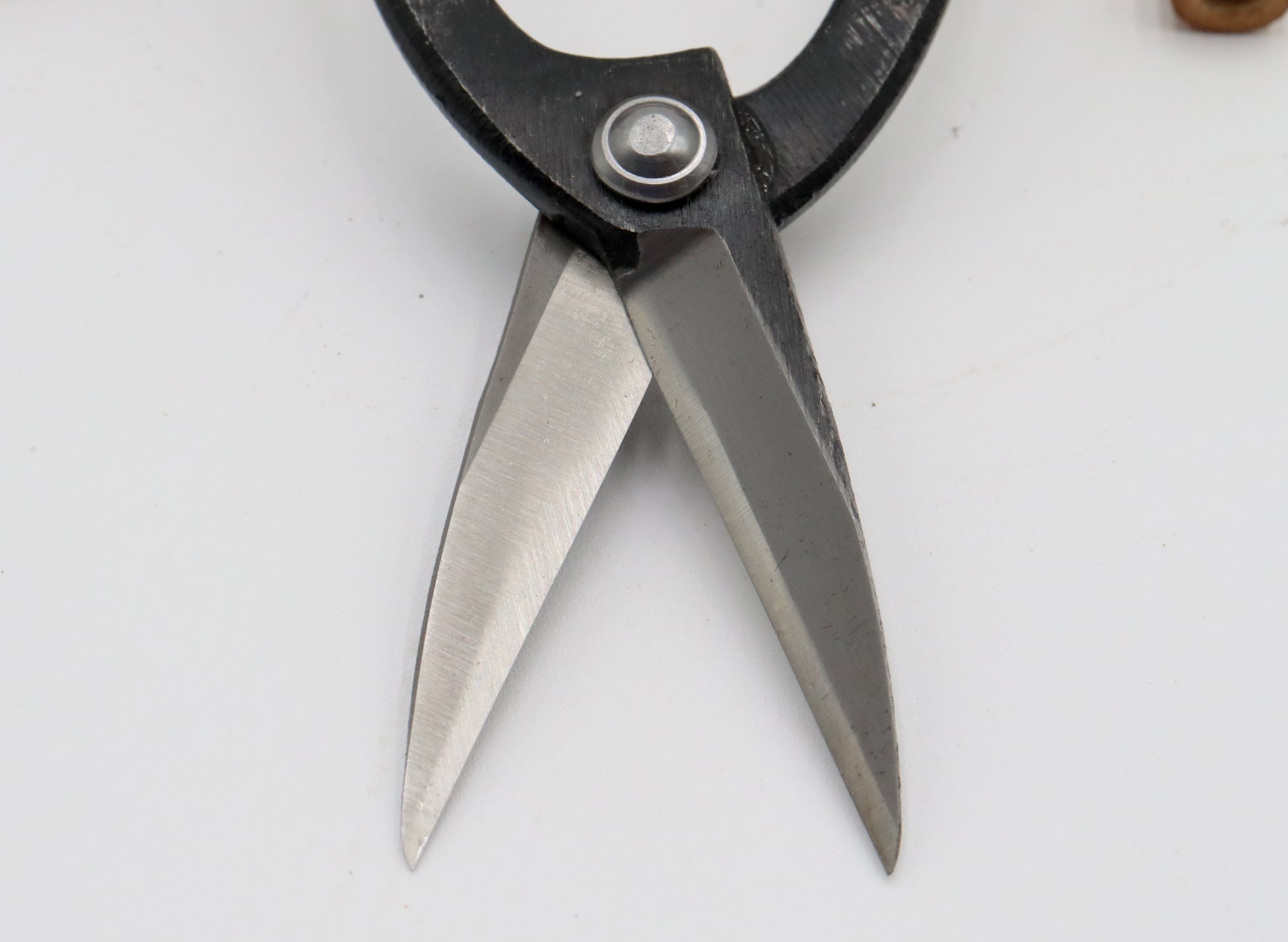 Handmade Tanabe Long Handled Bonsai Scissors