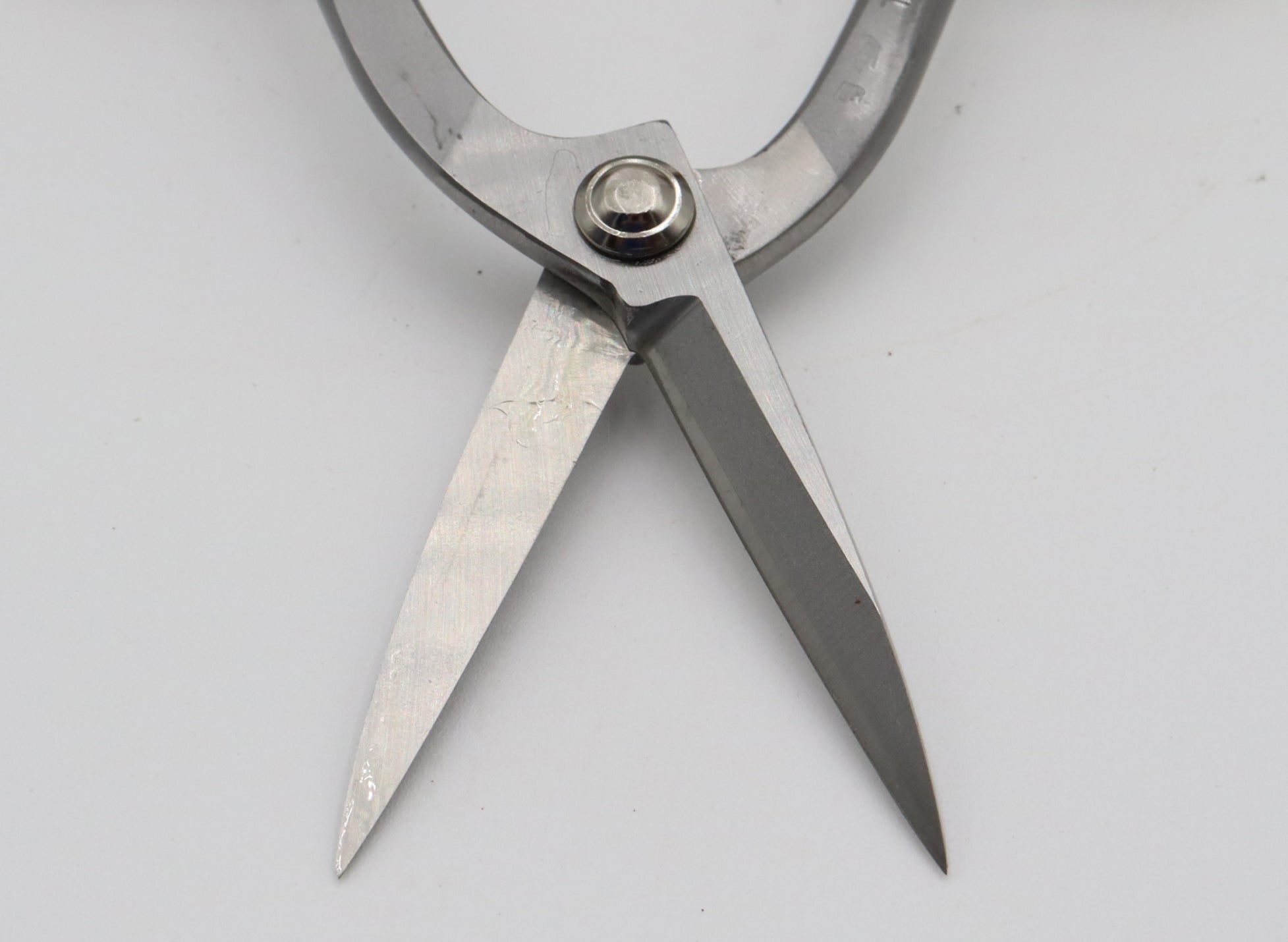 Stainless Steel Tanabe Long Handled Bonsai Scissors