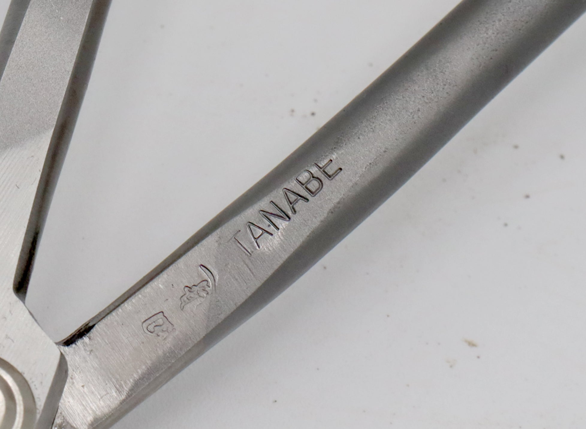 Stainless Steel Tanabe Twig Scissors