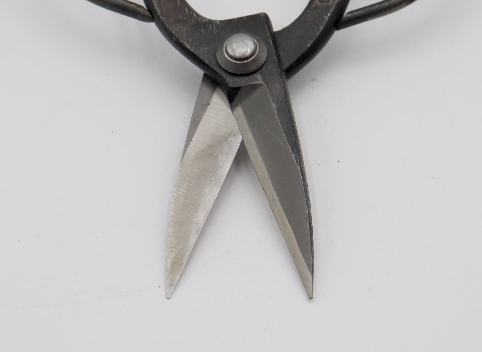 Handmade Tanabe Bonsai Scissors