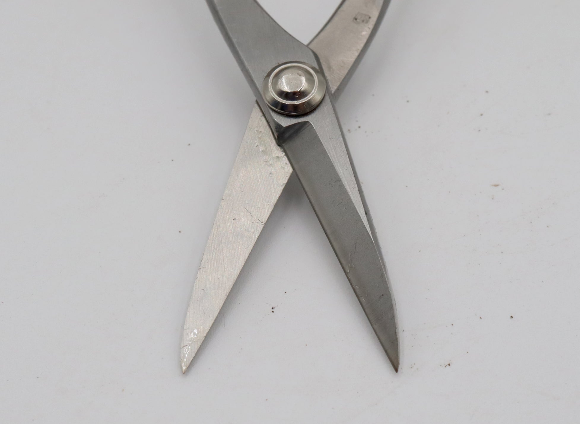 Stainless Steel Tanabe Satsuki Scissors