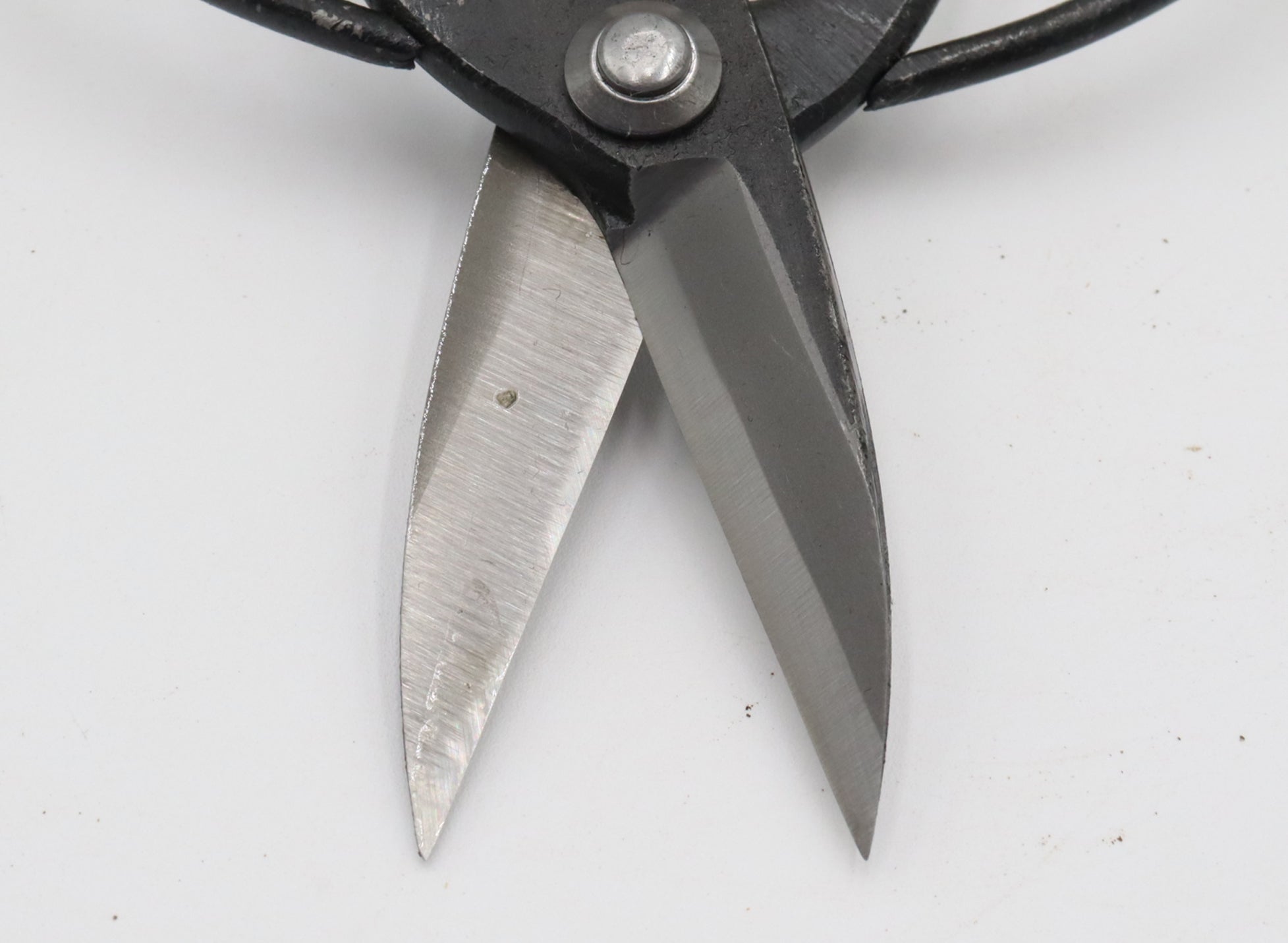 Handmade Tanabe Gardening Scissors