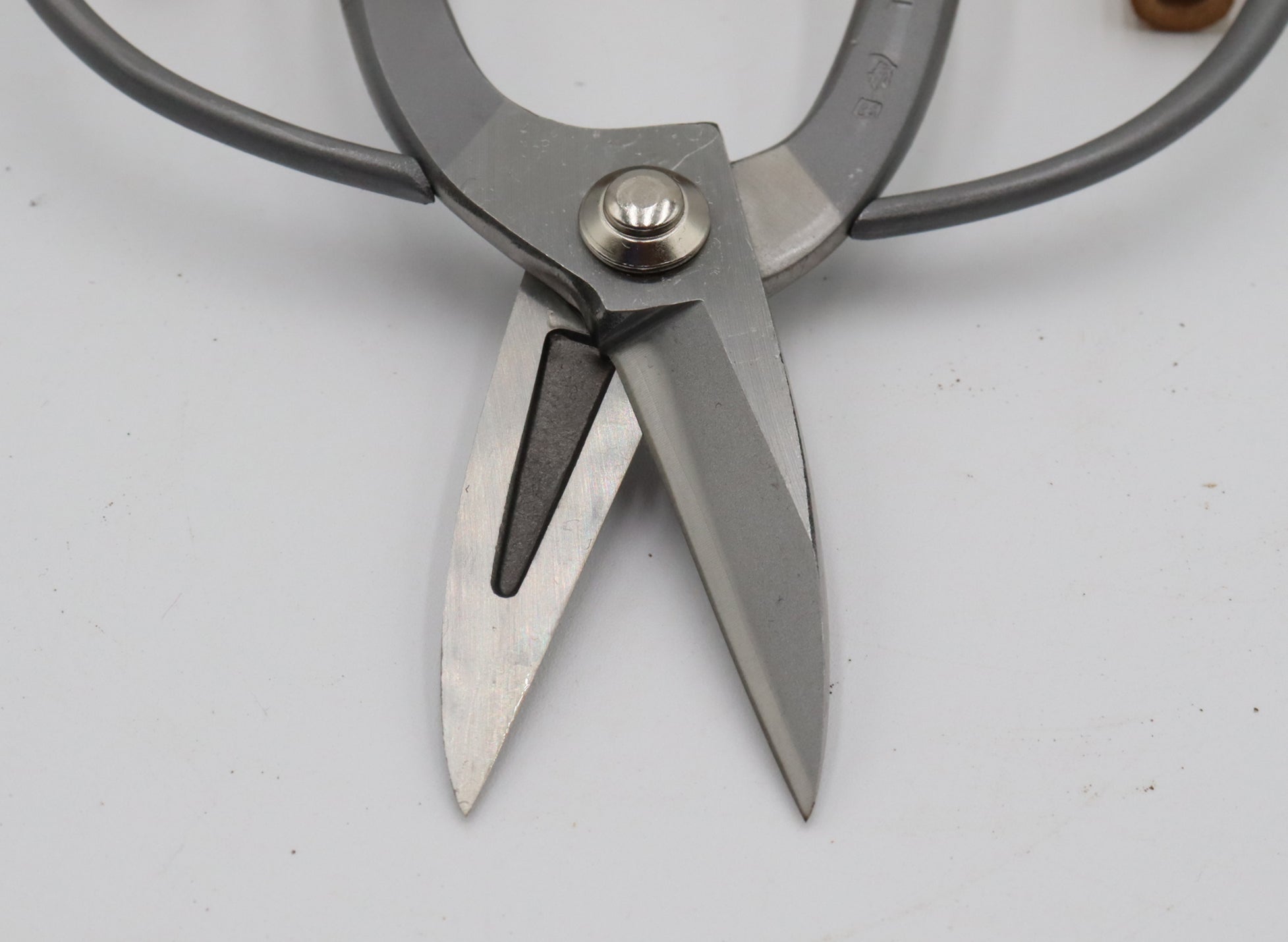 Stainless Steel Tanabe Gardening Scissors