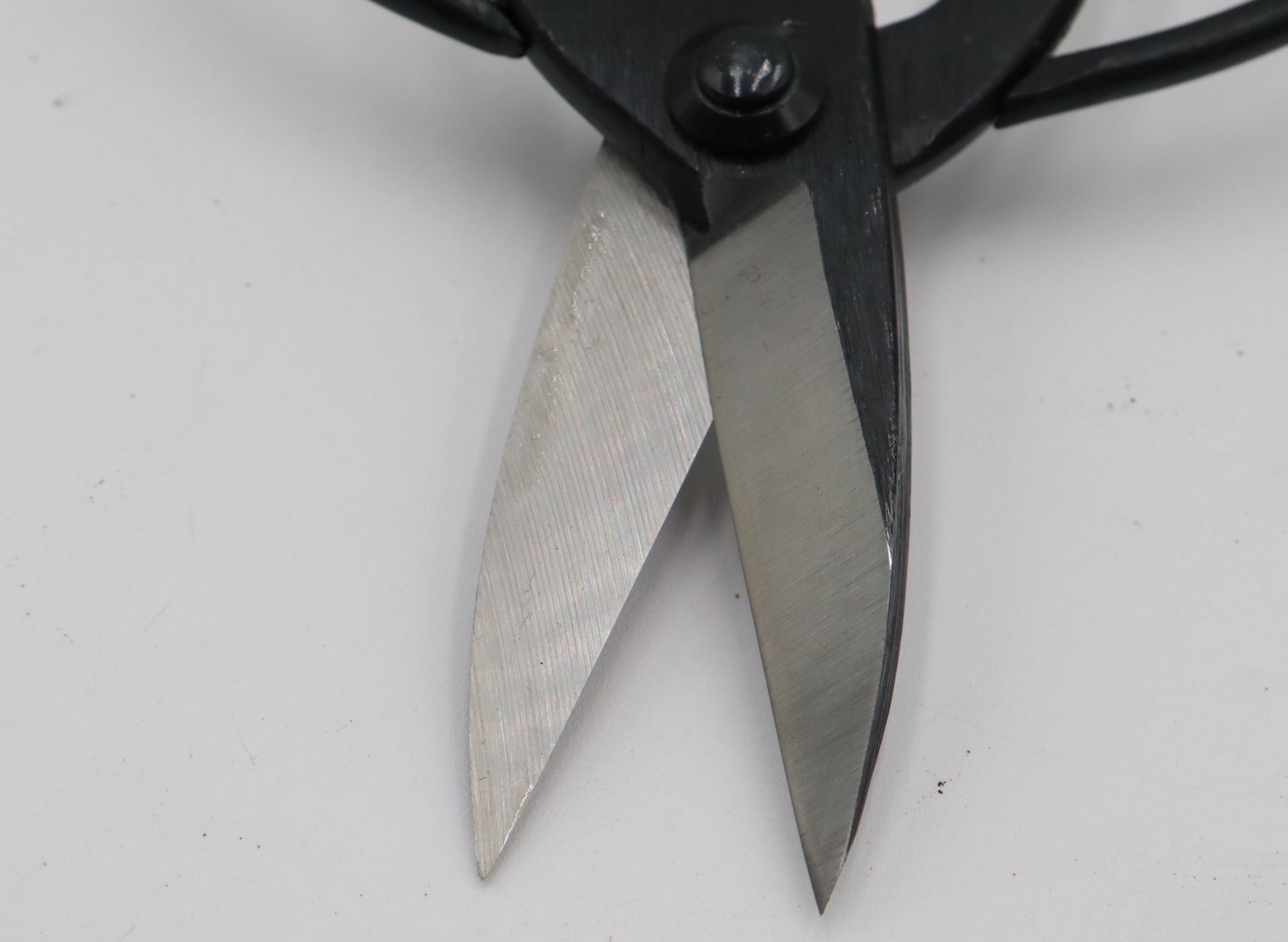 Tanabe Gardening Scissors