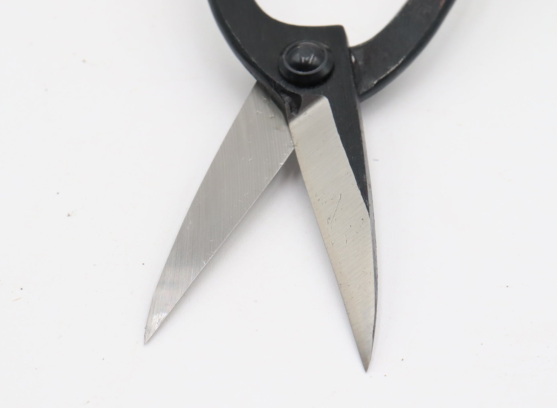 Long Handled Tanabe Bonsai Scissors