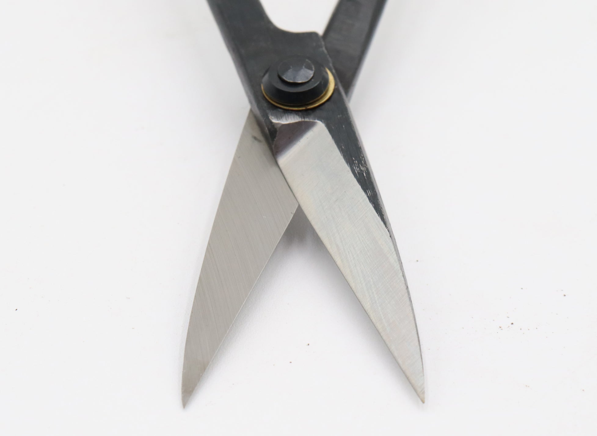 Traditional Tanabe Twig Scissors