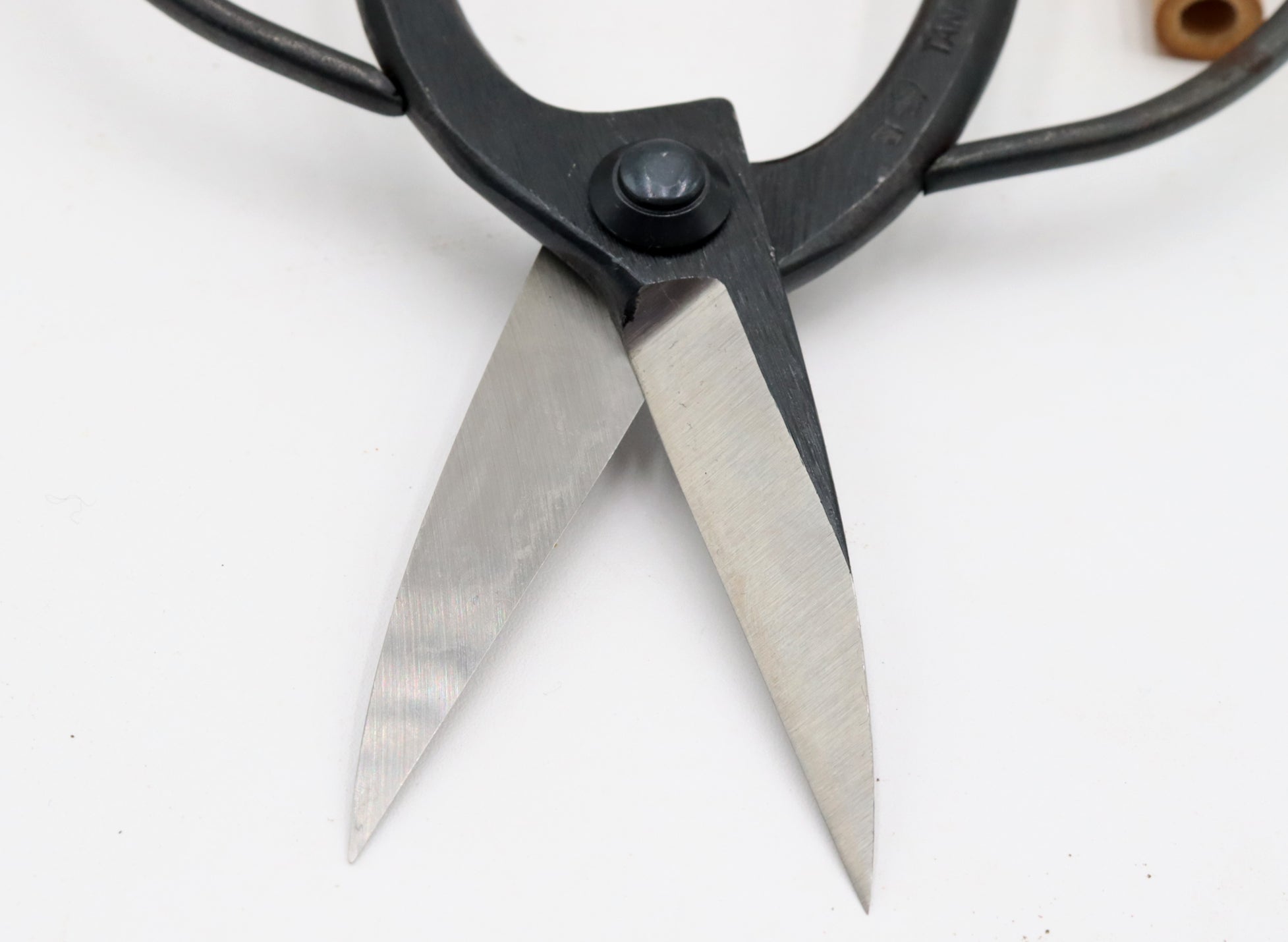 Tanabe Bonsai Scissors