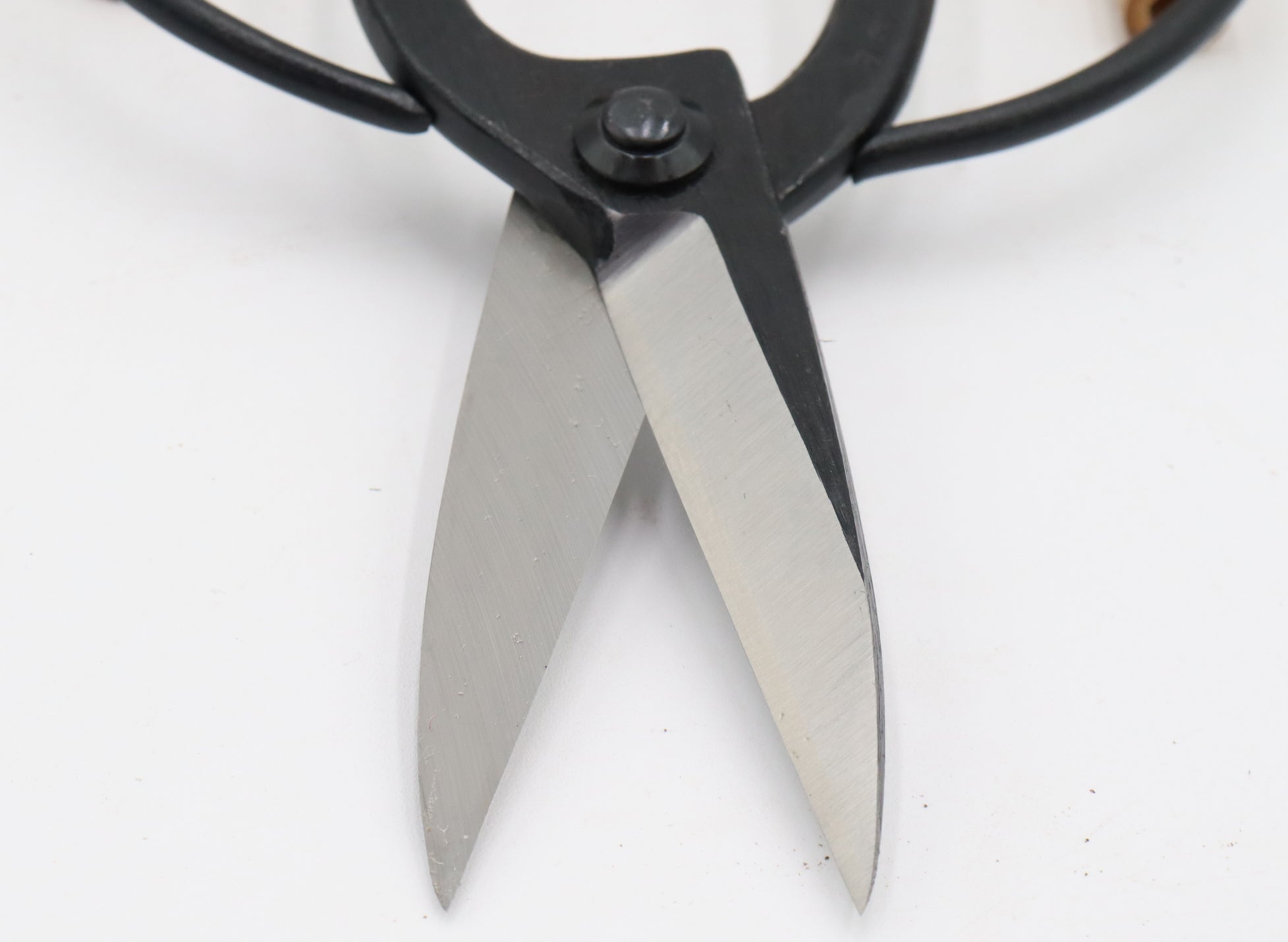 Long Blade Tenabe Gardening Scissors