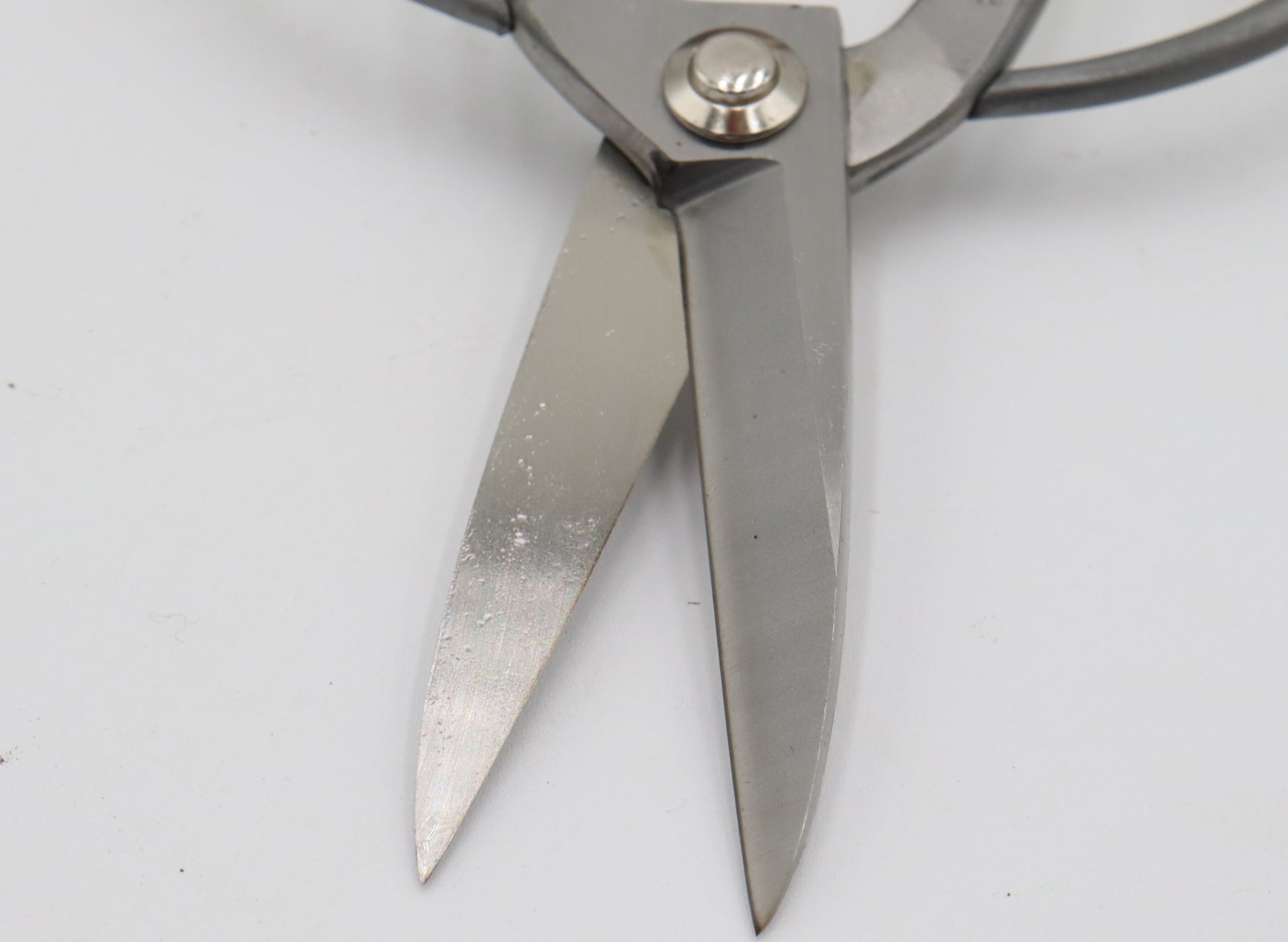 Stainless Steel Long Blade Tenabe Gardening Scissors