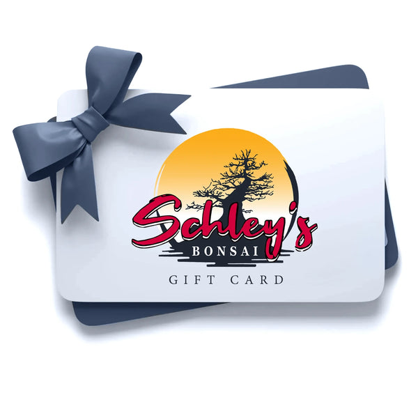 bonsai cards Schley's Bonsai Gift Card