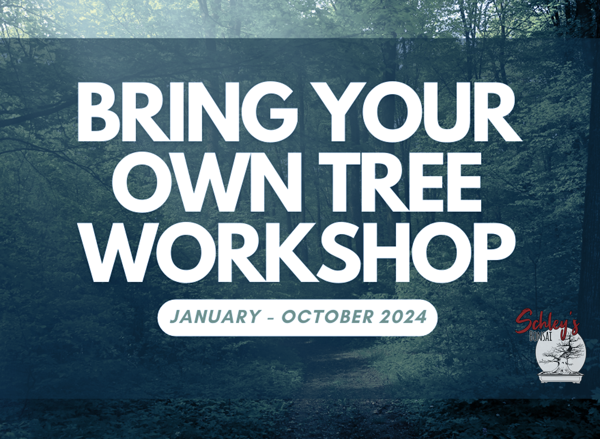 Bring Your Own Tree Workshop