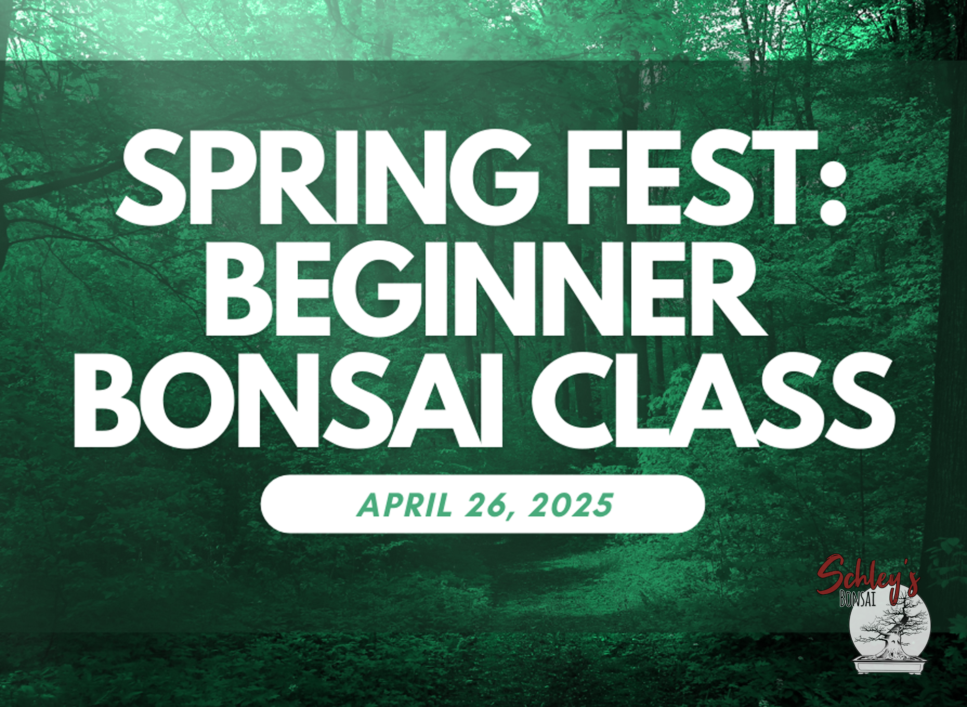 2025 Spring Festival: Beginner Bonsai Class