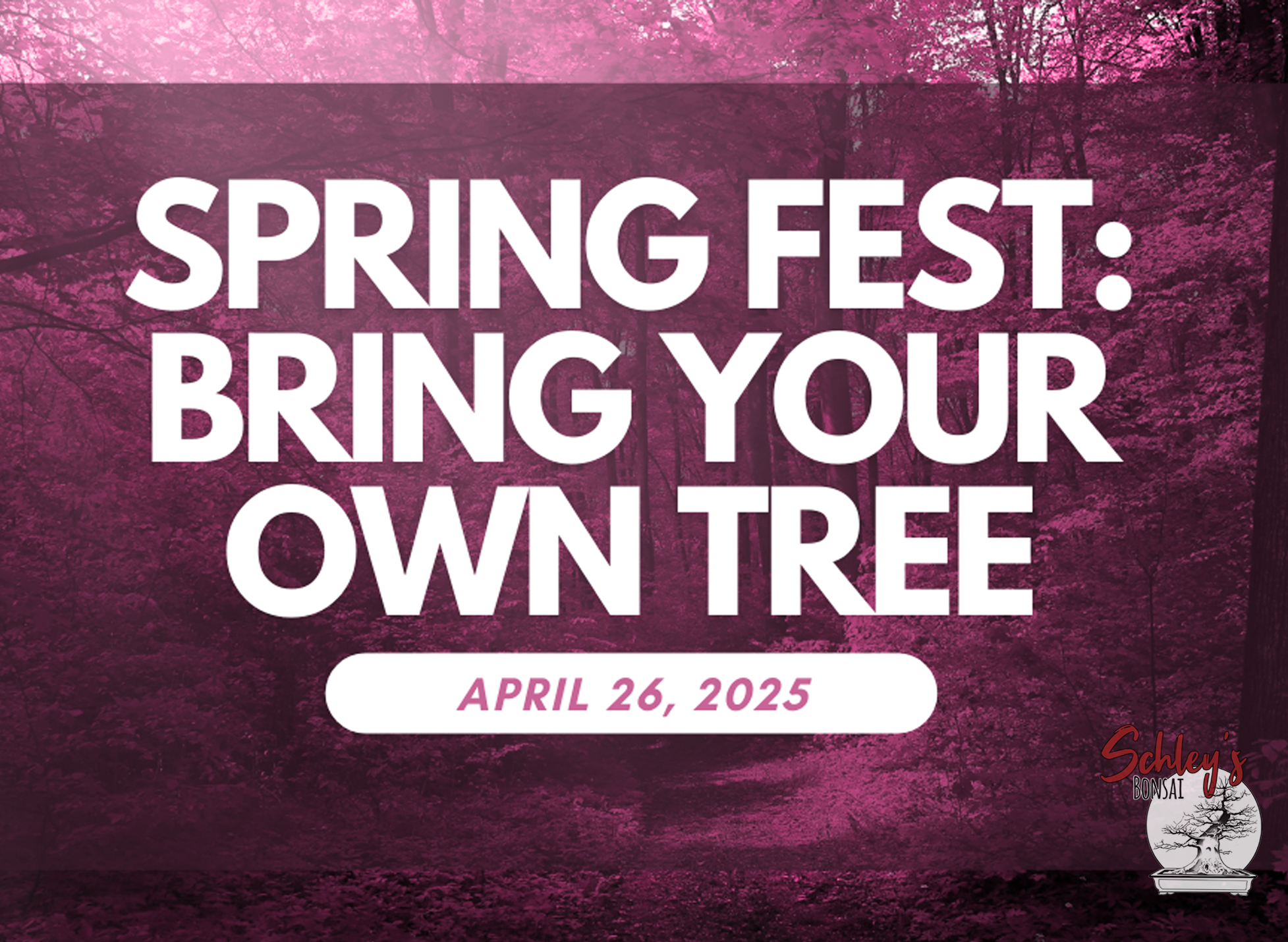 2025 Spring Festival: Bring Your Own Tree Workshop