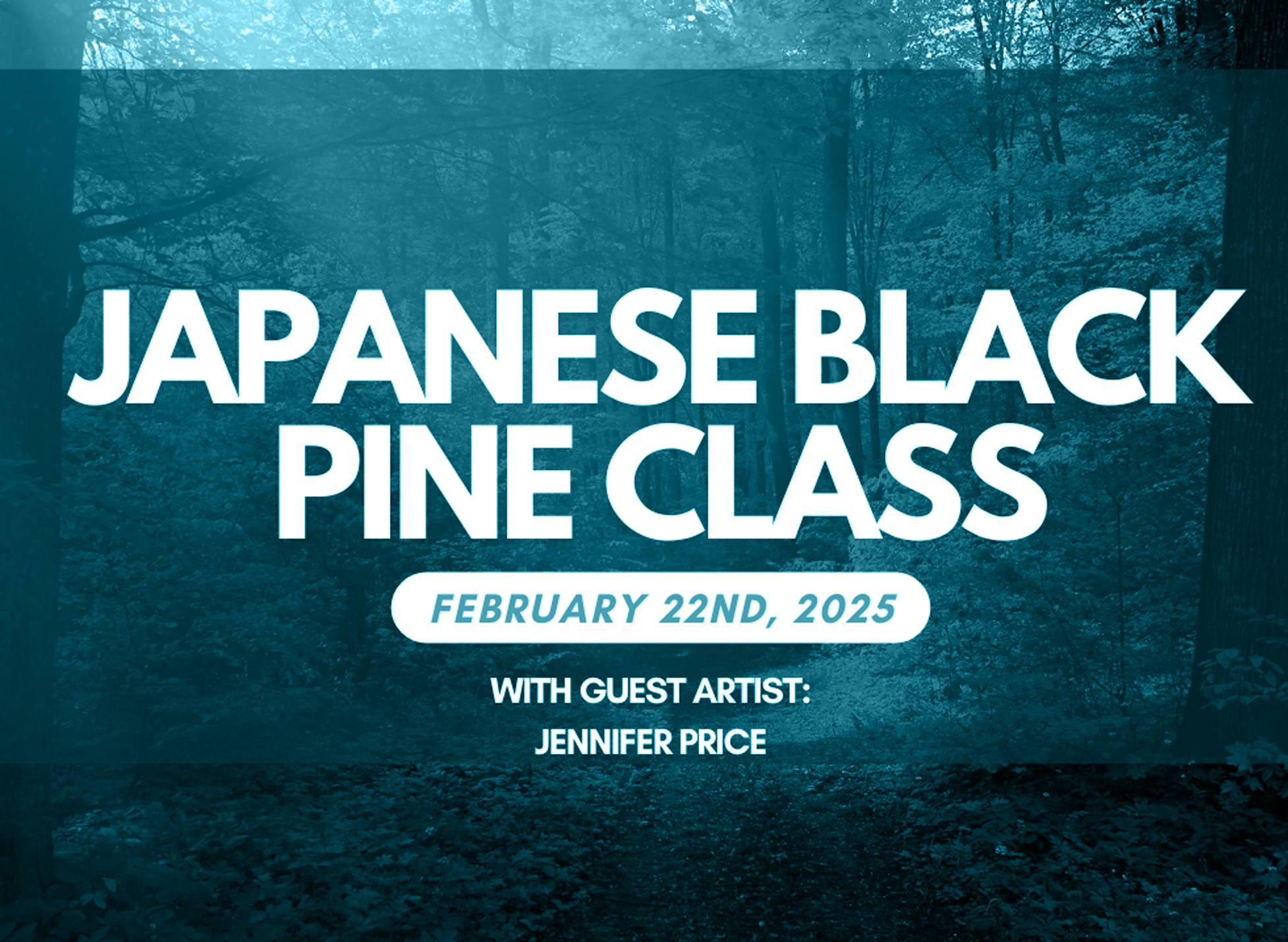 All Day Japanese Black Pine Class with Jennifer Price - February 22nd