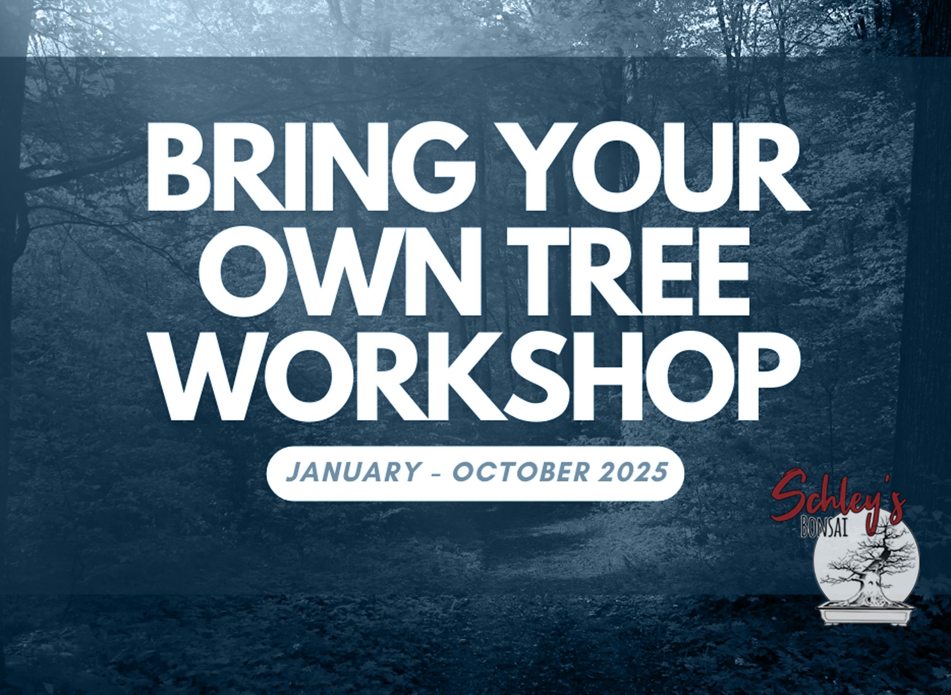 Bring Your Own Tree Workshop