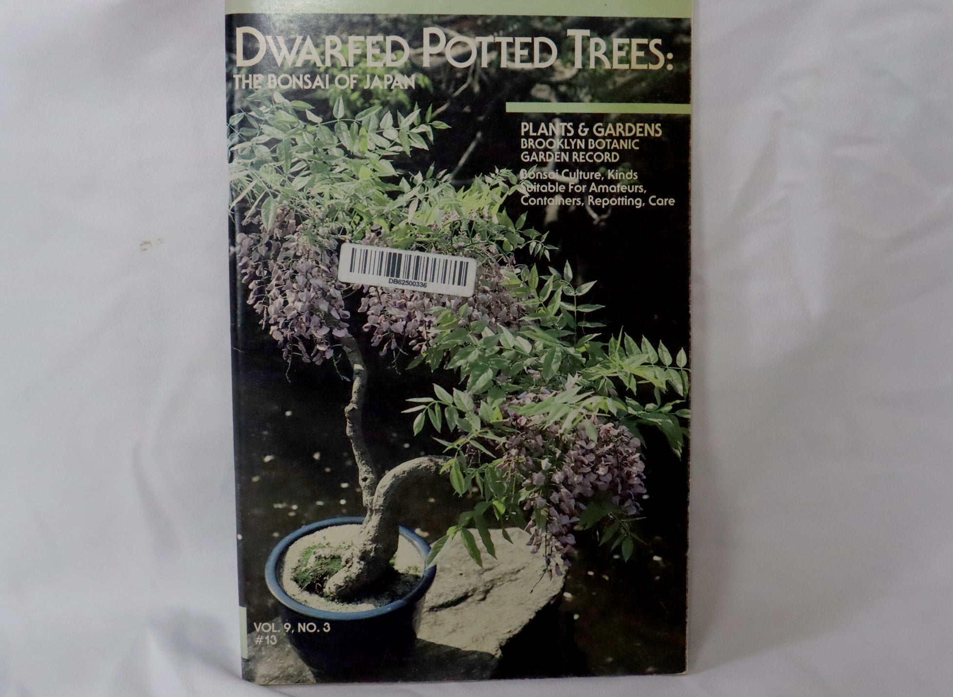 Dwarfed Potted Trees: The Bonsai of Japan