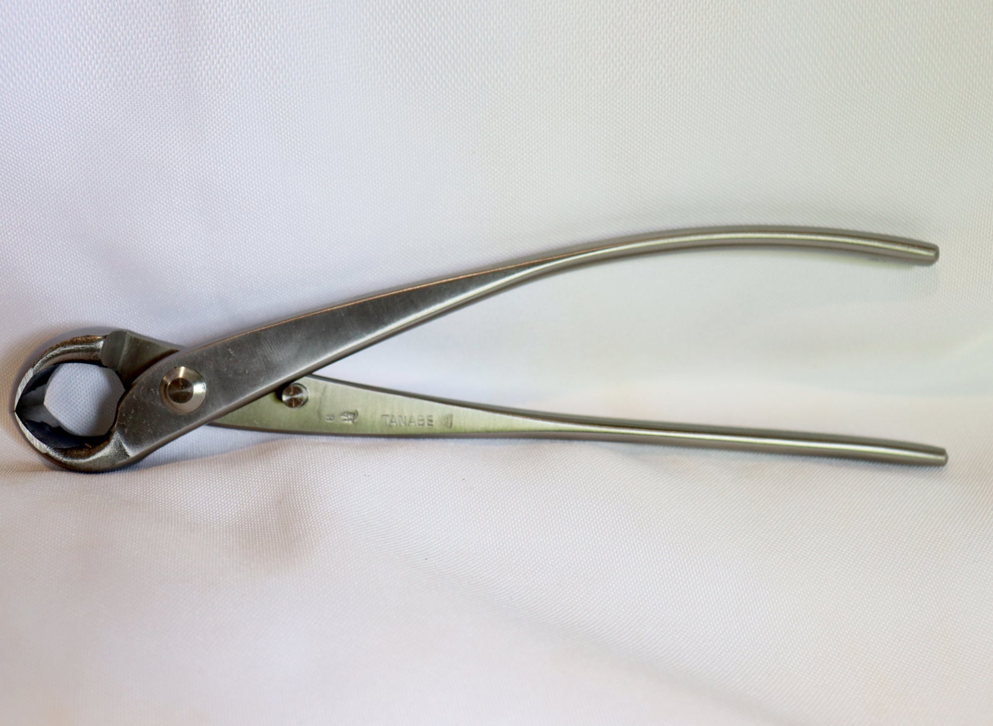 Tanabe Stainless Steel Knob Cutter L (T-376)