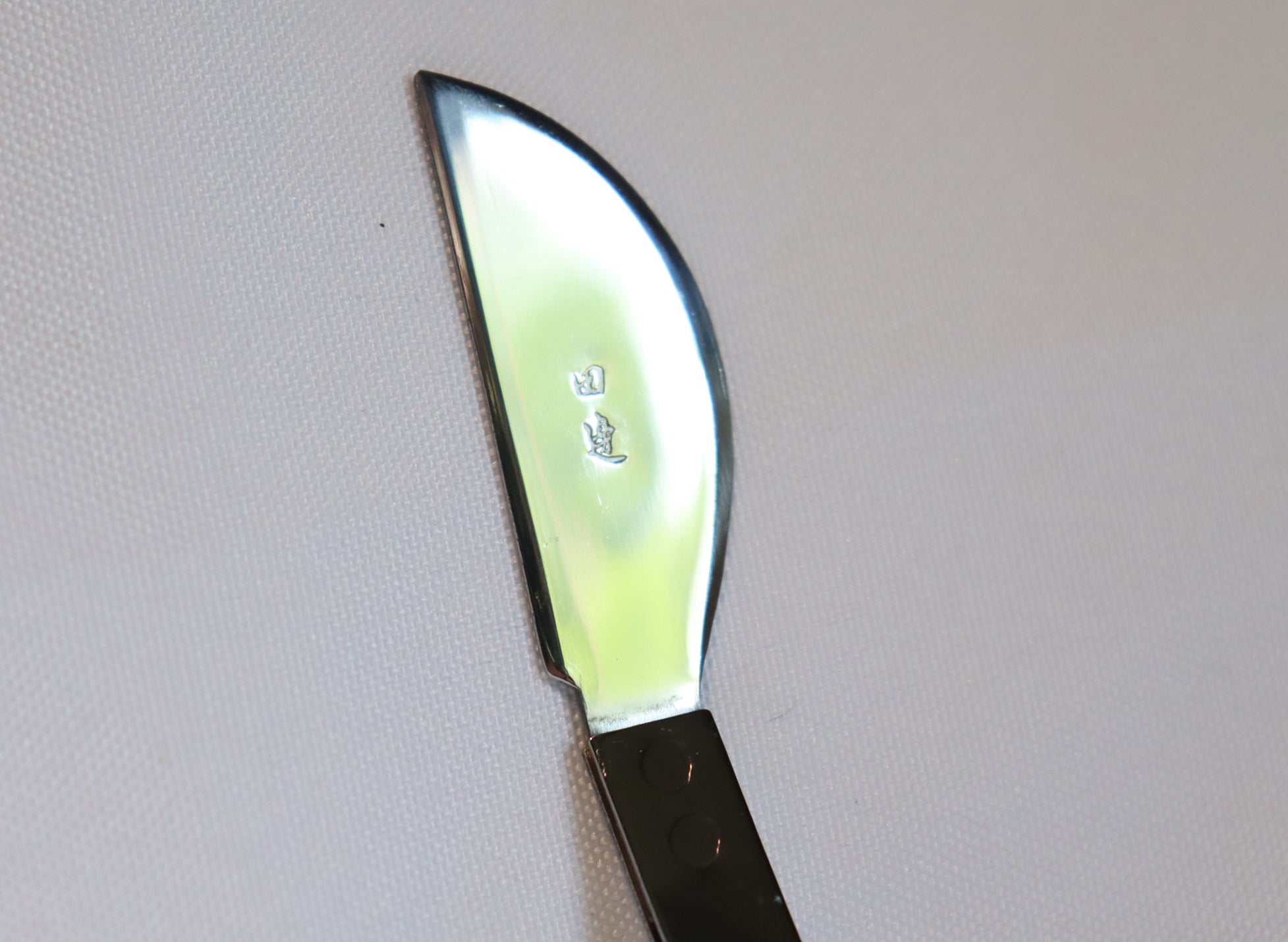 Tanabe Stainless Steel Bonsai Tweezers C