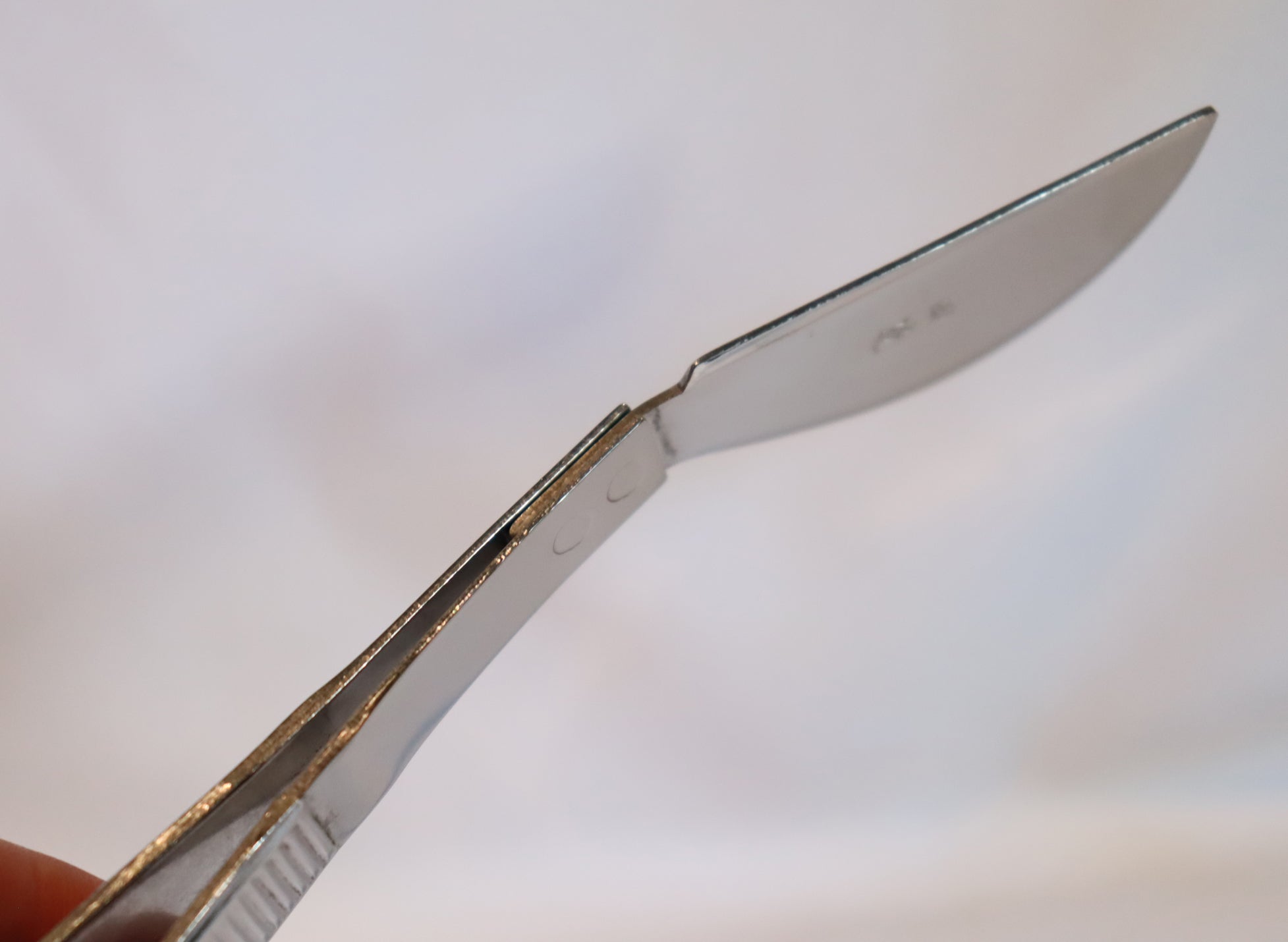 Tanabe Stainless Steel Bonsai Tweezers C