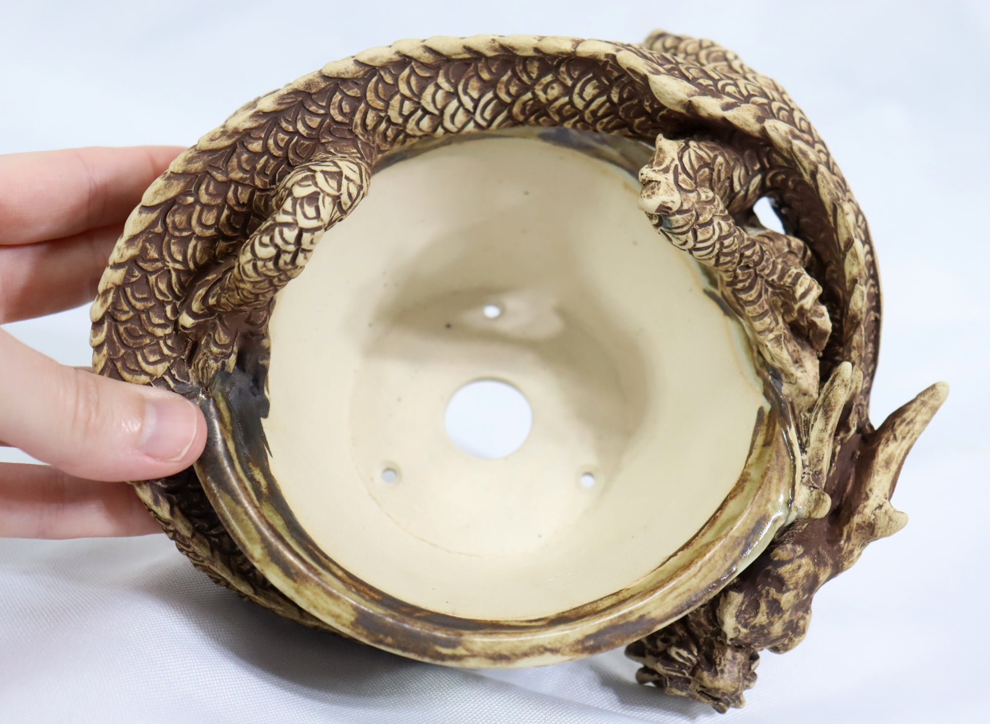 Brown Engulfing Dragon Pot