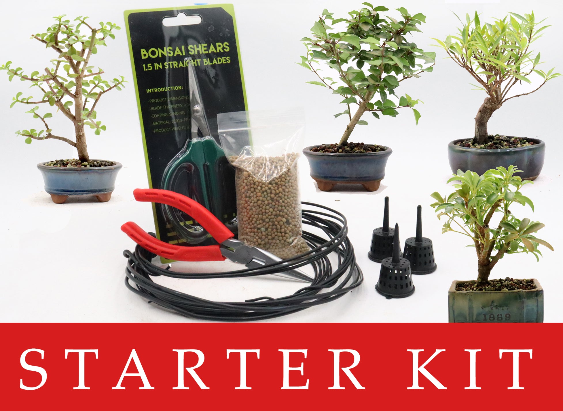 Beginner Bonsai Starter Kit