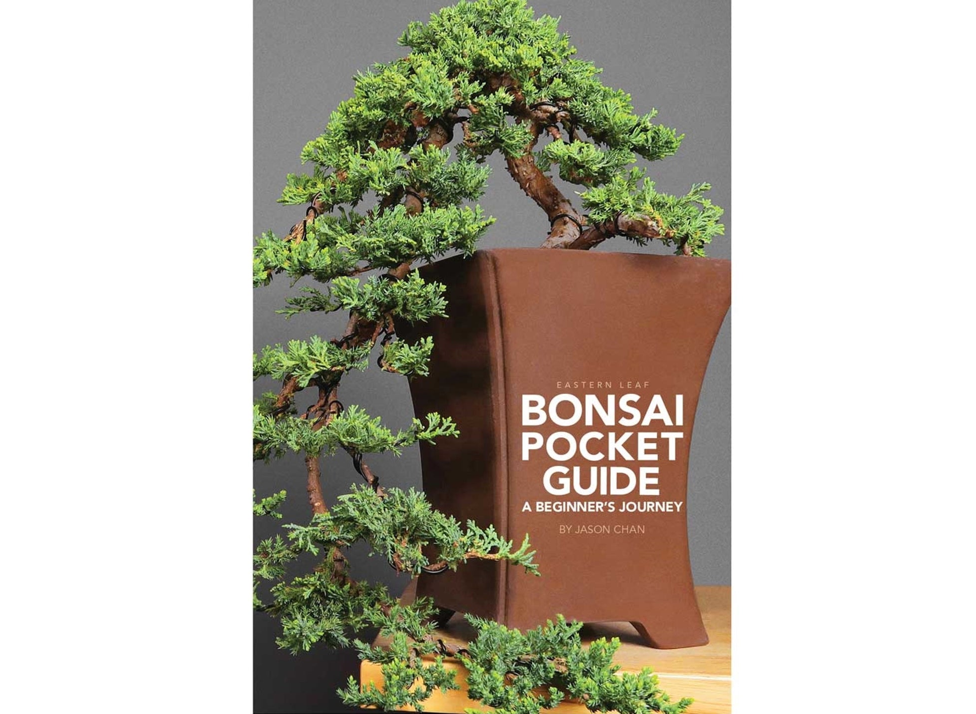 Bonsai Pocket Guide: A Beginner's Journey by Jason Chan