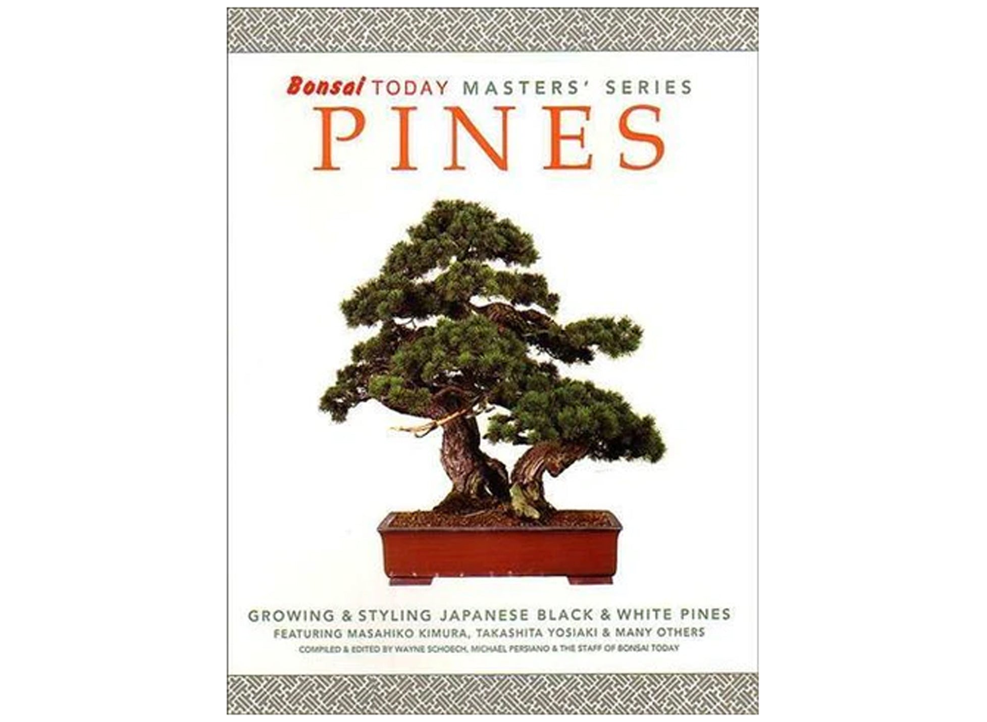 Pines (Bonsai Today Master's Series)