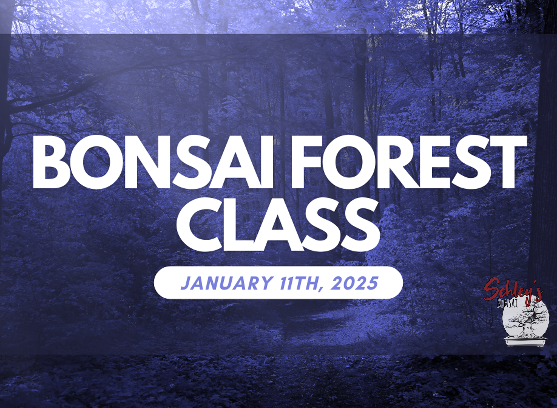 Bonsai Forest Class - Saturday, JANUARY 11th @ 9AM