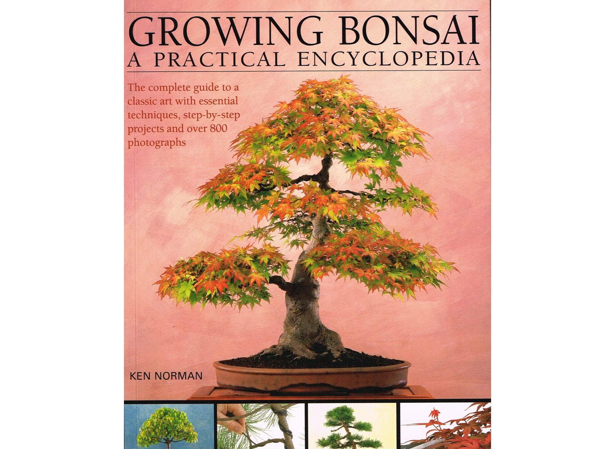 Growing Bonsai: A Practical Encyclopedia: The essential practical guide to a classic art with techniques, step-by-step projects and over