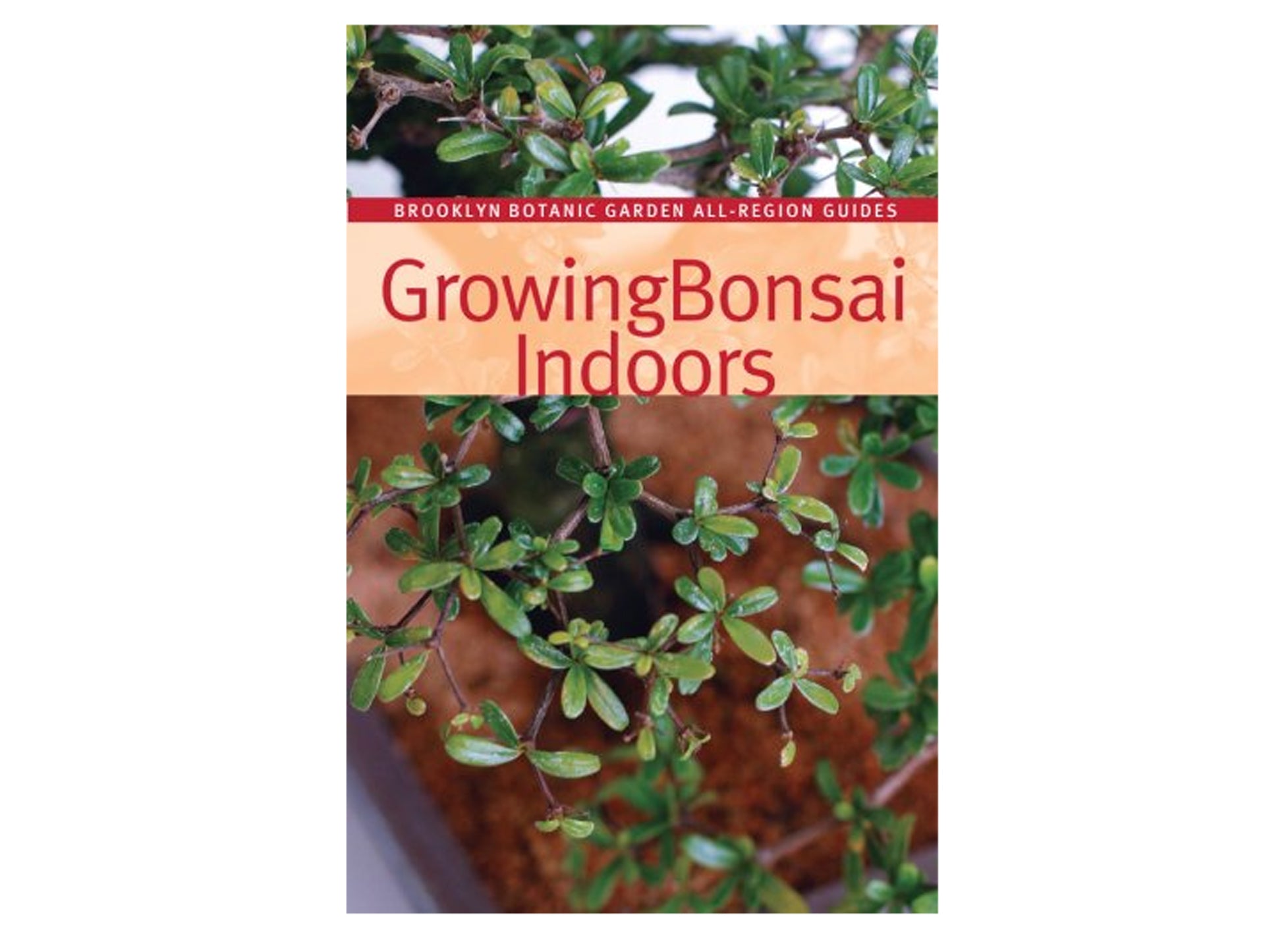 Growing Bonsai Indoors (Brooklyn Botanic Garden All-Region Guides)