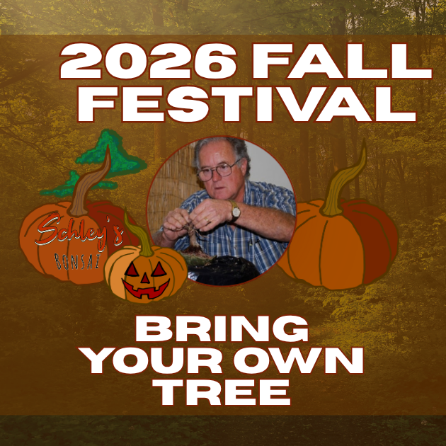 Fall themed picture for a Bring Your Own Tree workshop